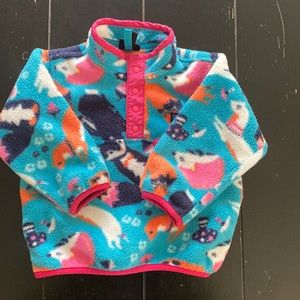 Patagonia Synchilla Pullover